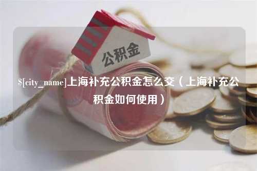 沈阳上海补充公积金怎么交（上海补充公积金如何使用）